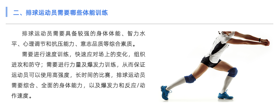 體適能測試儀