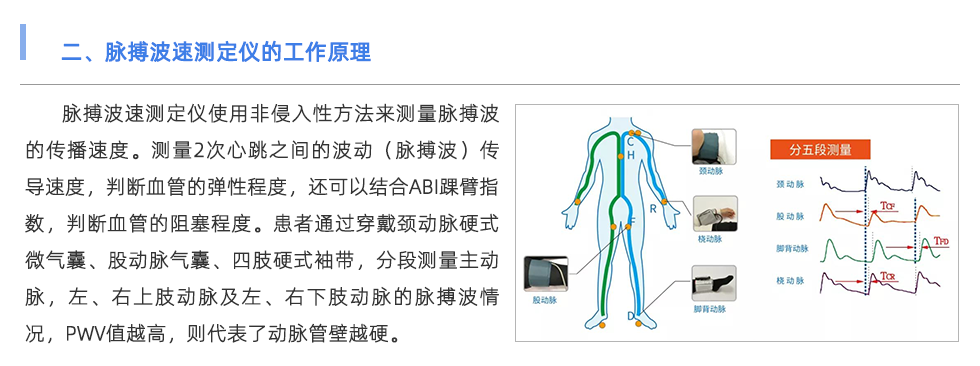 脈搏波速測(cè)定儀