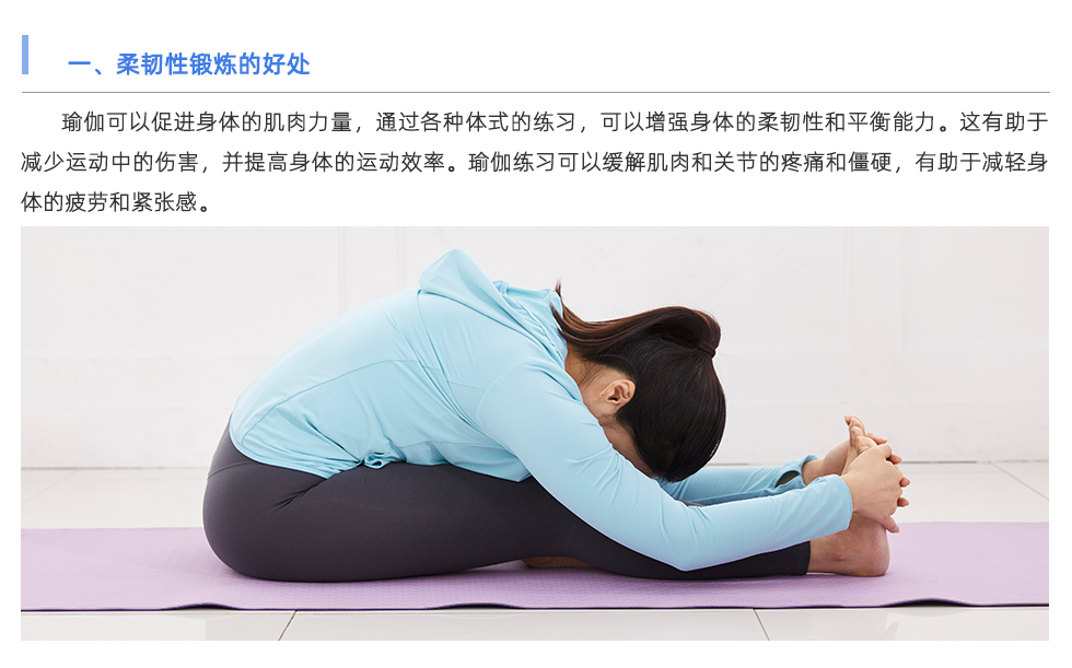 體能測試儀