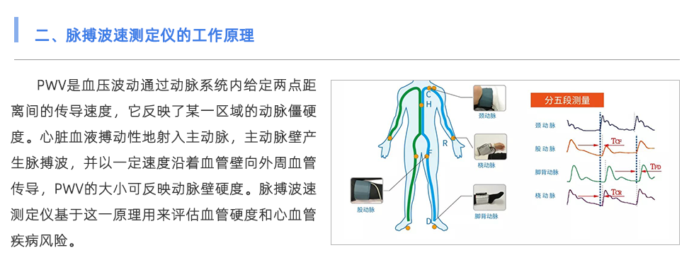 脈搏波速測(cè)定儀