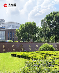 足底壓力檢測(cè)儀，人體姿態(tài)檢測(cè)儀