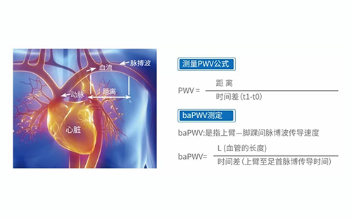 動(dòng)脈硬化檢測(cè)儀